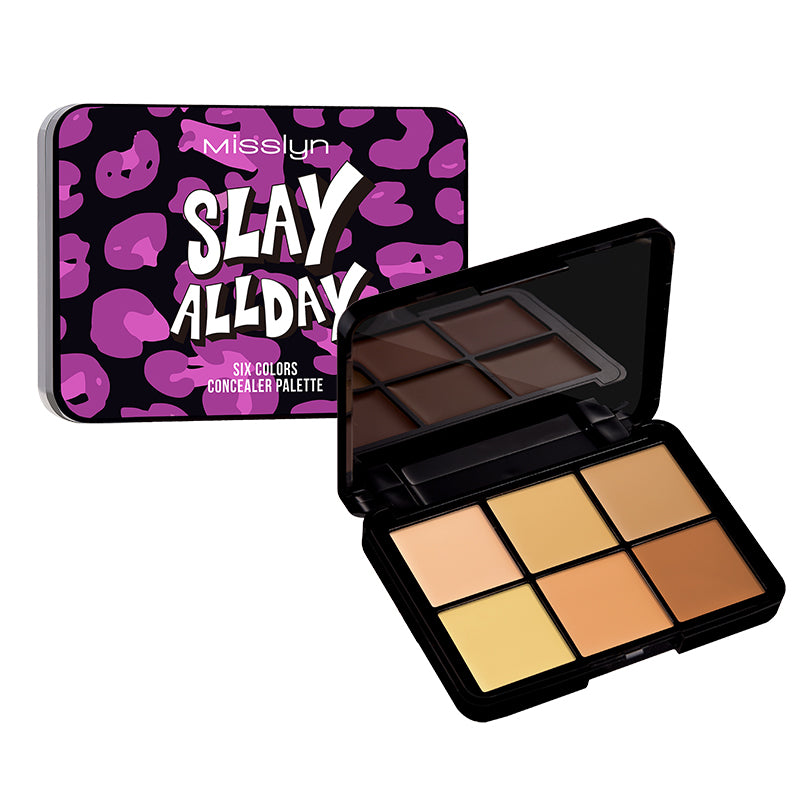 Slay All Day Six Colors Concealer Palette